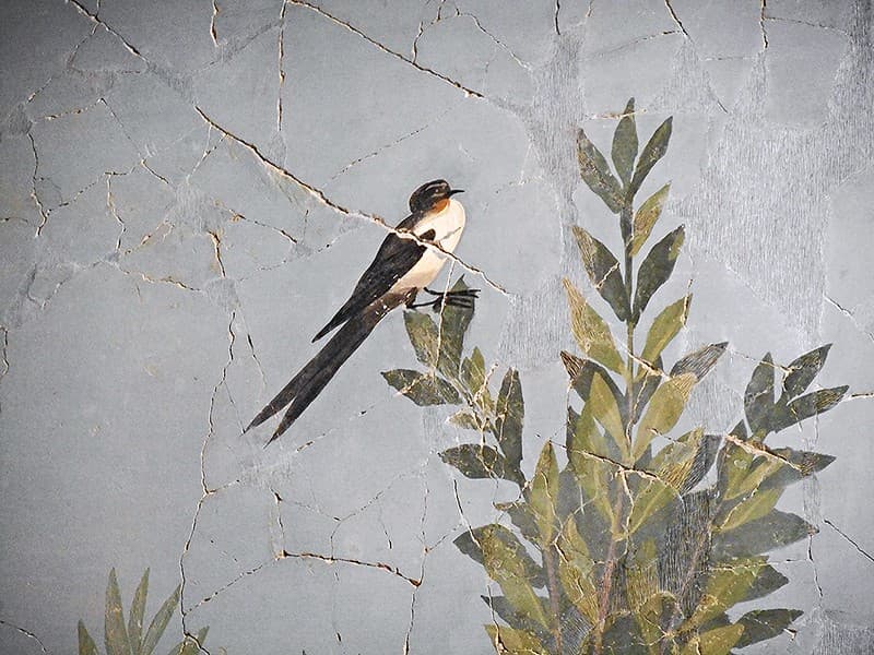Archaeologicalmuseum, bird, italy