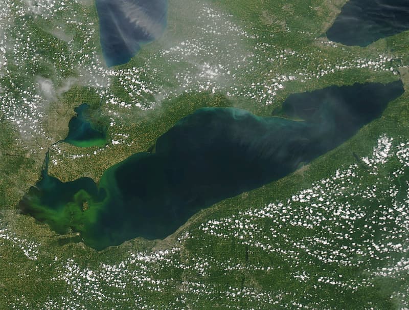 Lake Erie HABs MODIS Satellite July 2015