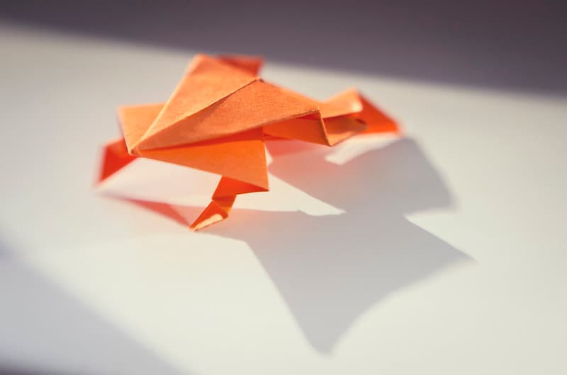 Hot dog. Jumping Frog. Origami.