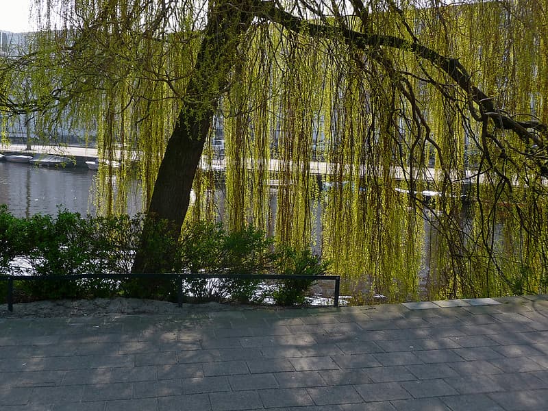 Amsterdam, amsterdamcity, april