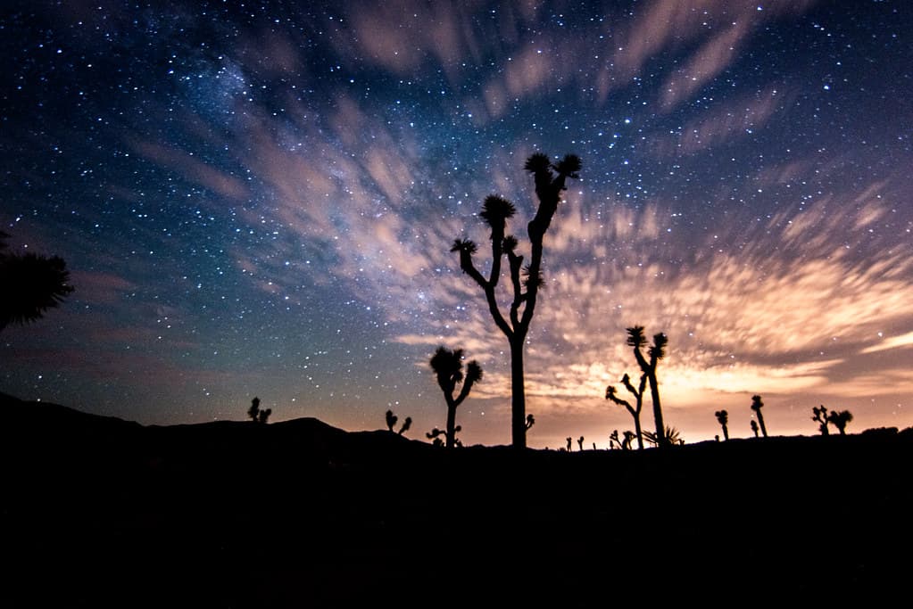 Cloudy Night Sky