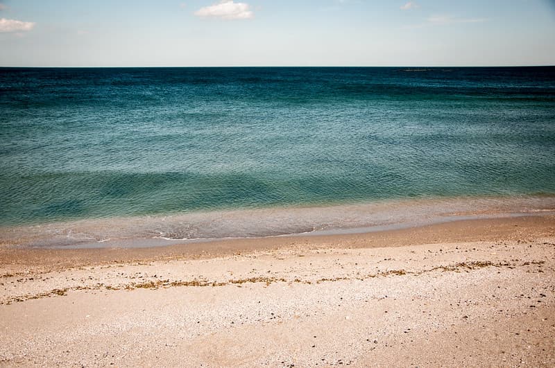 Sandy Beach Shoreline by Ocean