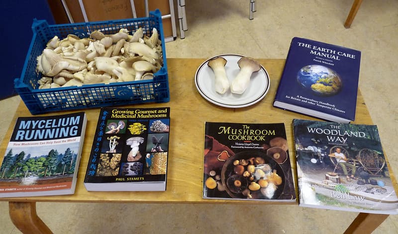 Mushroom cultivation workshop - samples and reading material
