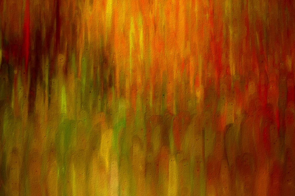 Free Texture by Tóta.