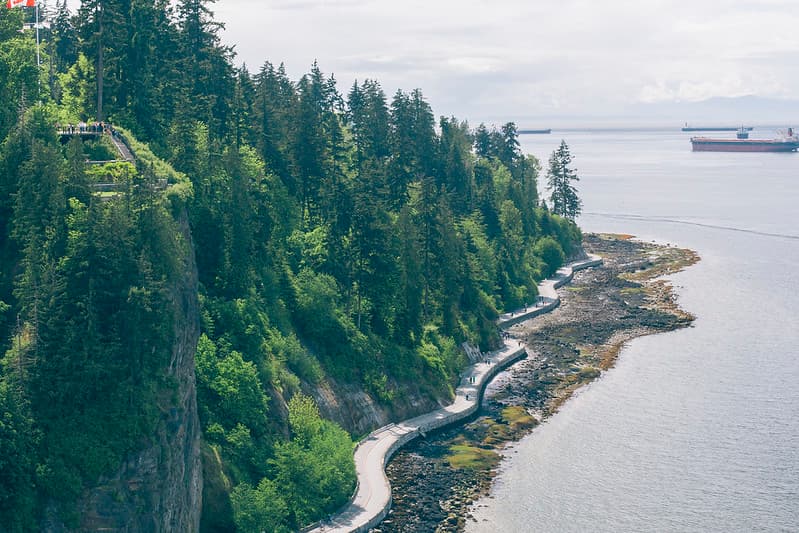 Group of People Walking on Coastal Path Near Forest