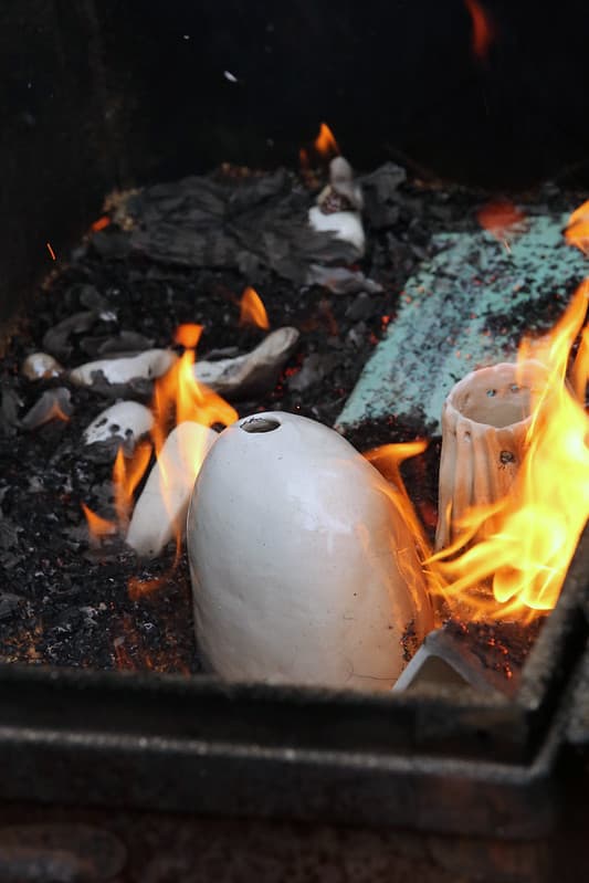 Workshop Raku