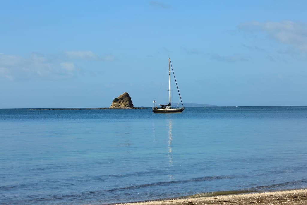 Calm Ocean Daze