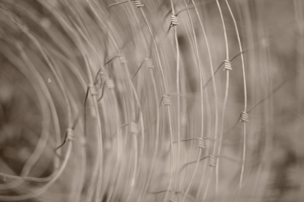 Barb wire
