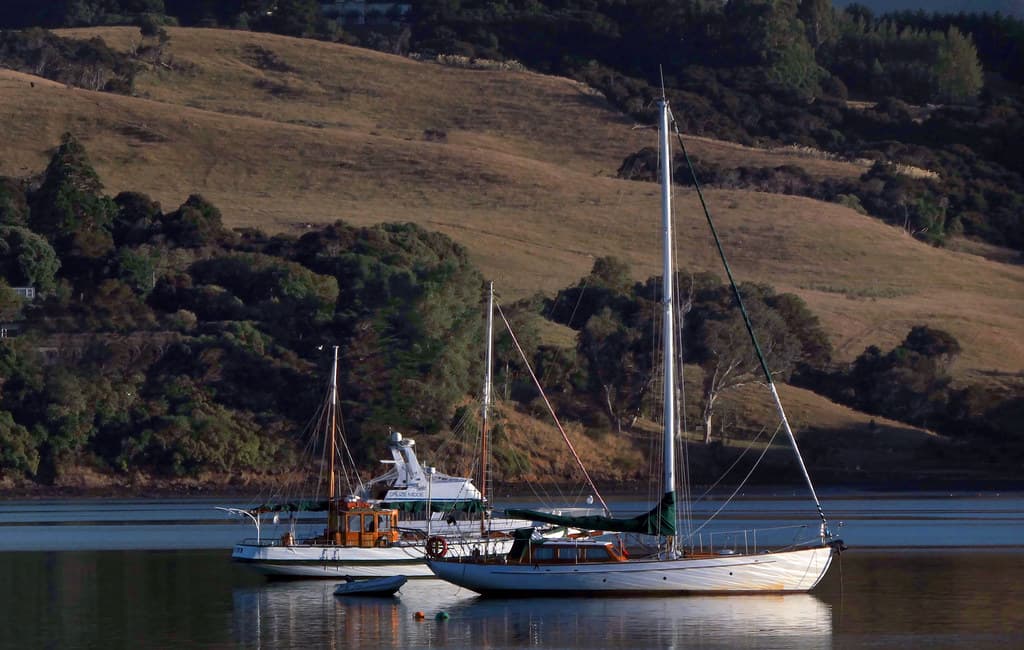 Morning Akaroa Harbour.