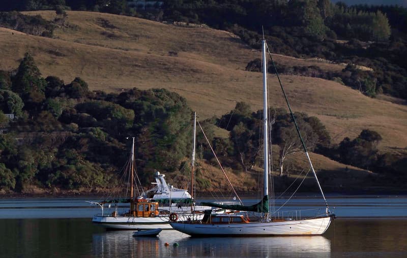 Morning Akaroa Harbour.
