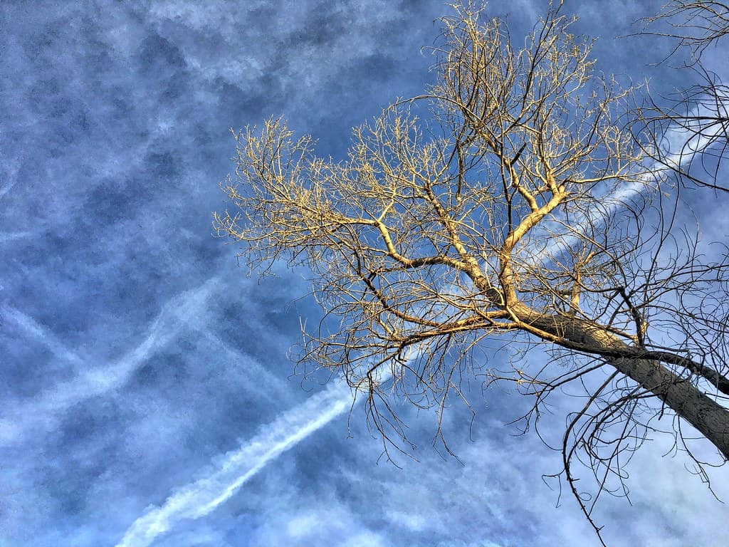 Crossing the Sky