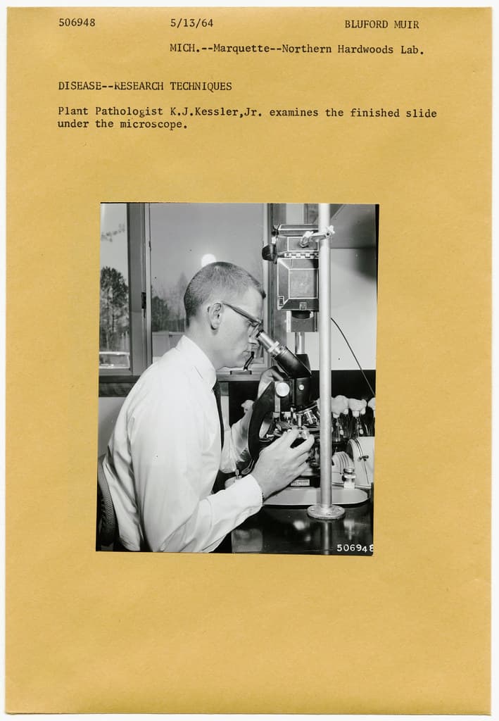 Blufordmuir, forestdisease, forestpathologist