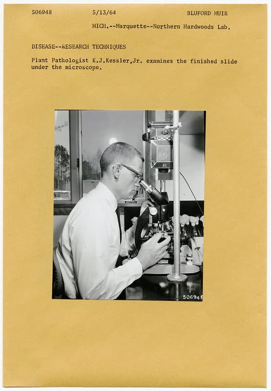 Blufordmuir, forestdisease, forestpathologist