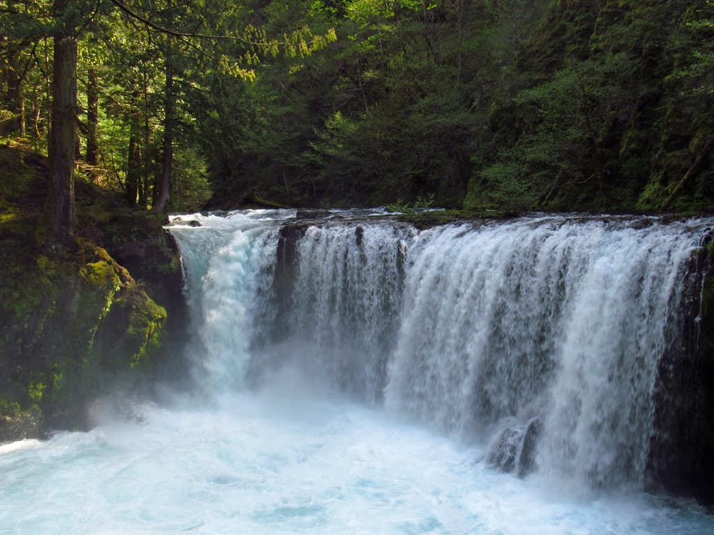 Spirit Falls Trail on Little White Salmon River in WA