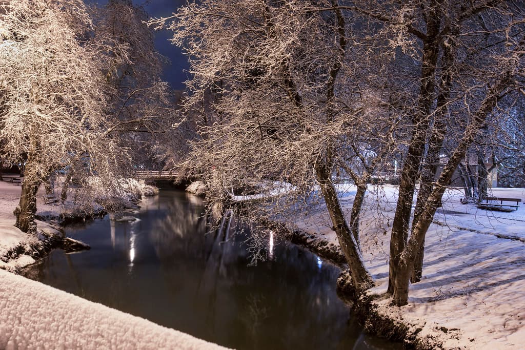 Snow in the Willamette Valley, Oregon
