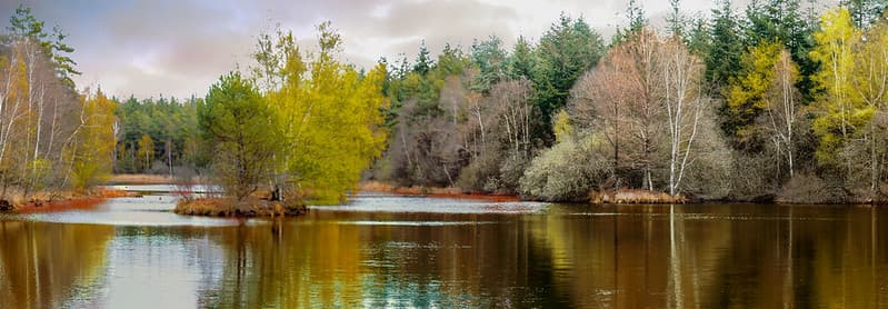 Three islands in the pond