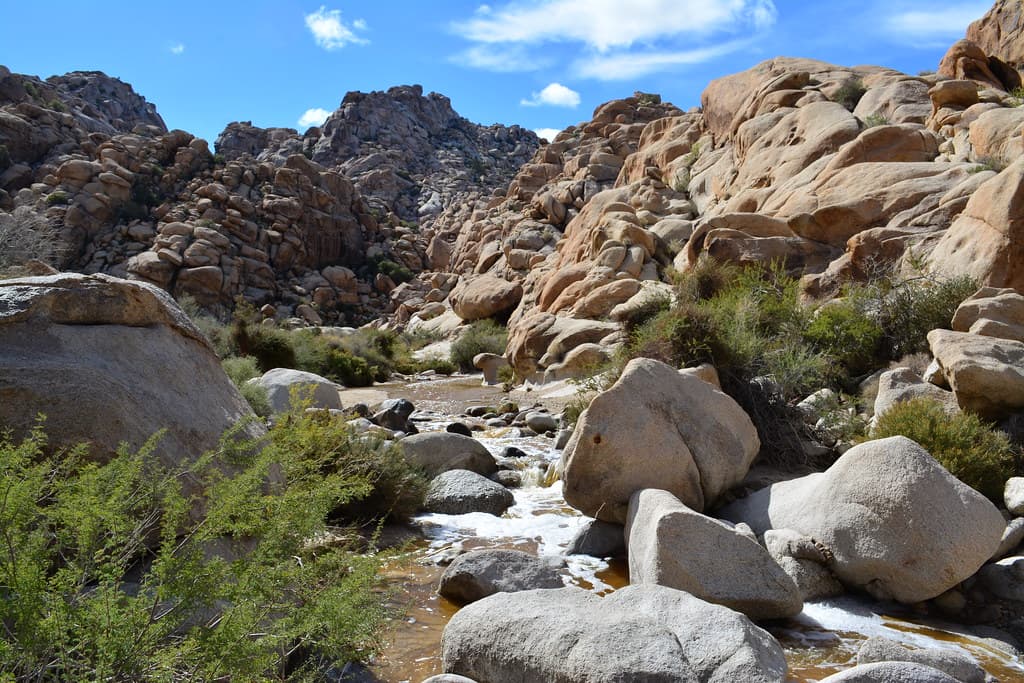 Water in Rattlesnake Canyon