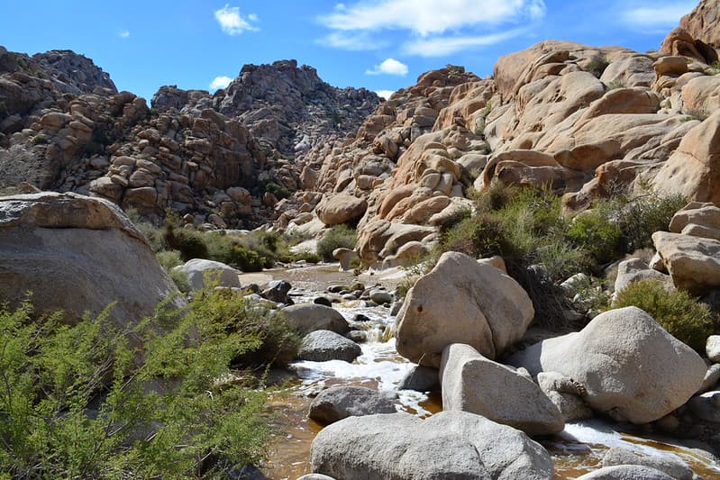 Water in Rattlesnake Canyon