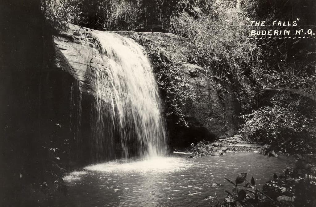 The Falls - Buderim Mountain