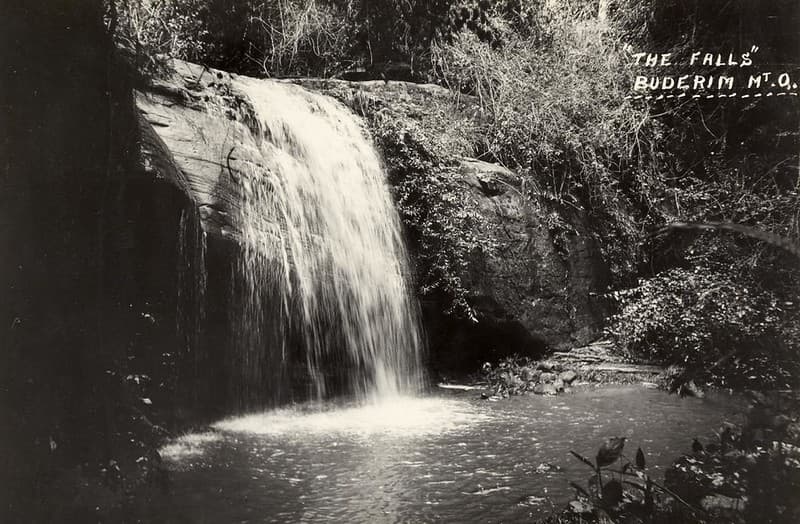 The Falls - Buderim Mountain