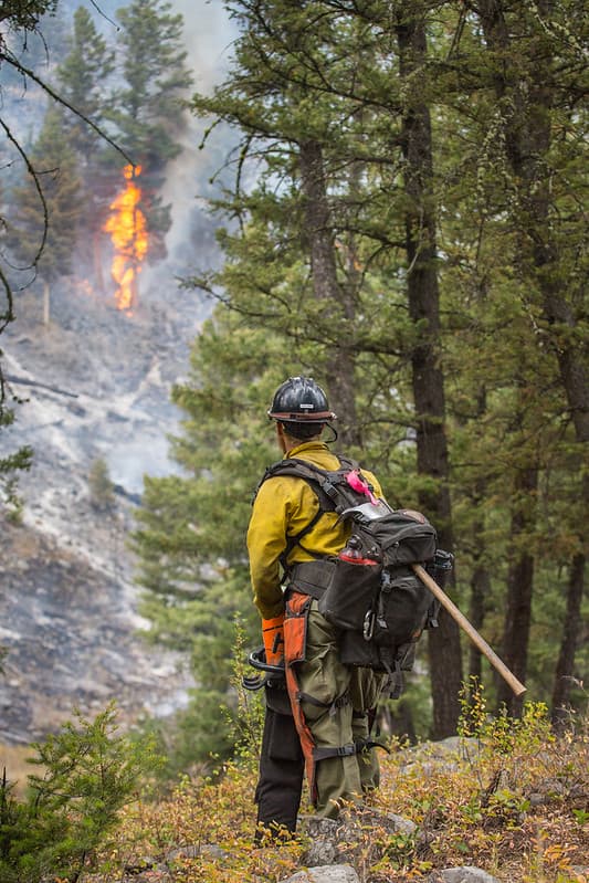 Buffalofire