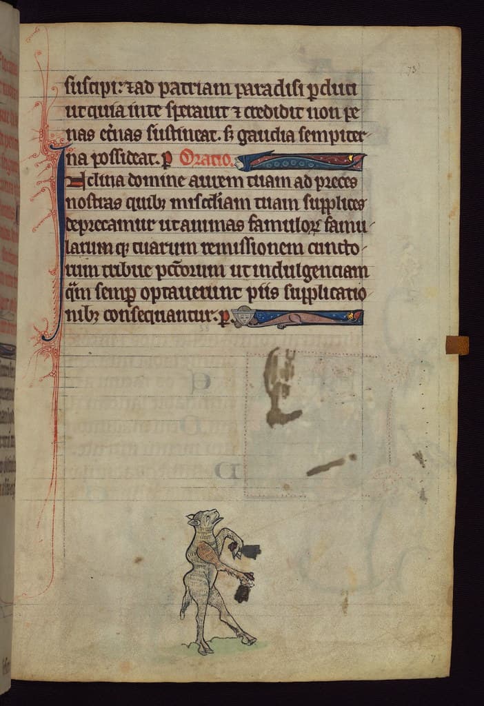 Book, century, christian