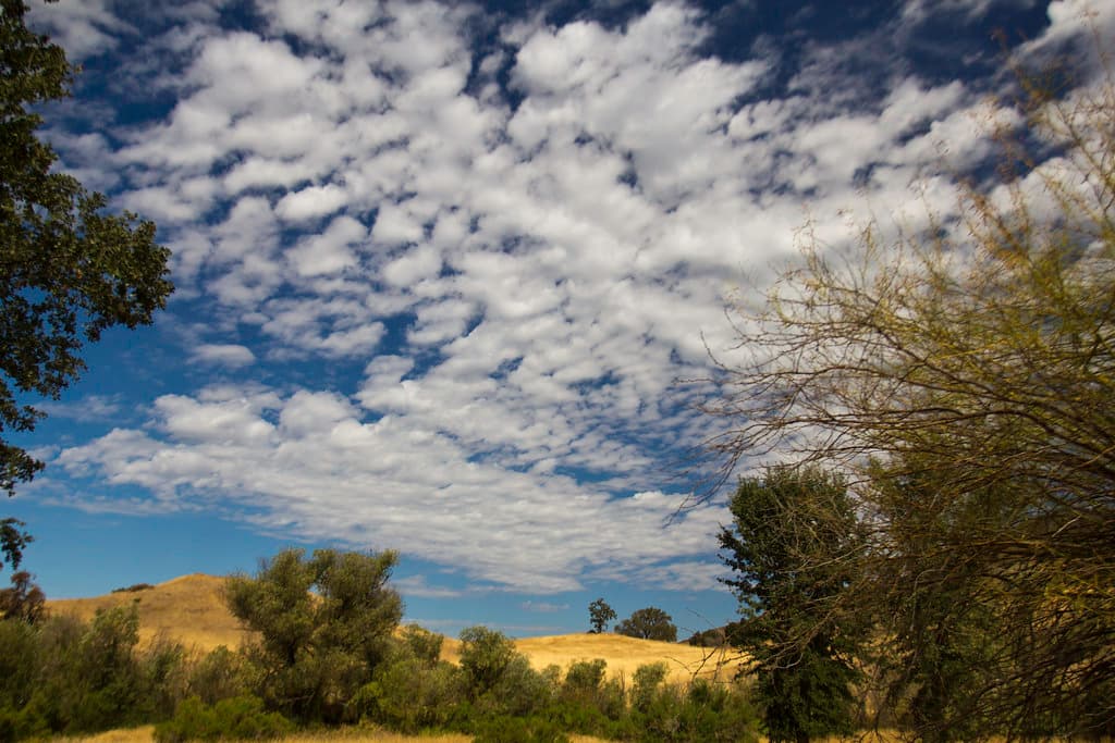 Cheeseboro Canyon