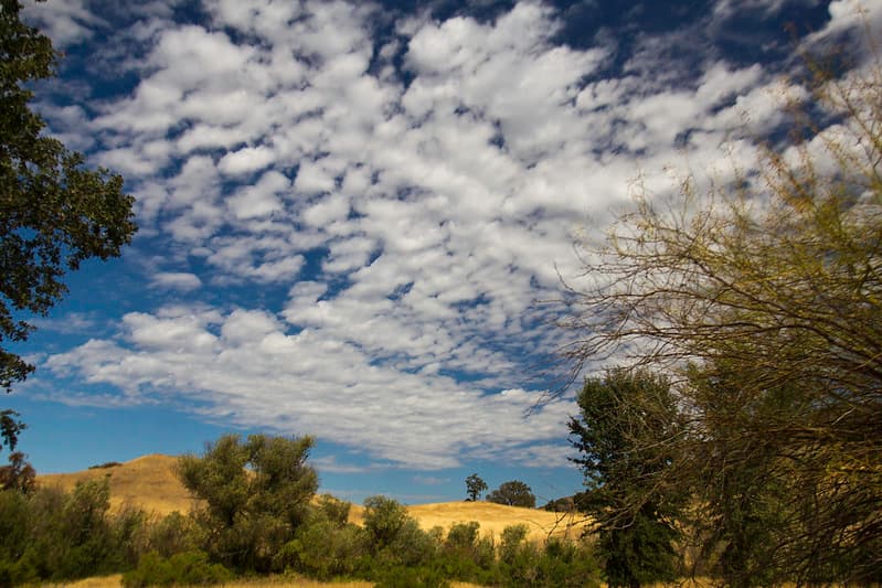 Cheeseboro Canyon