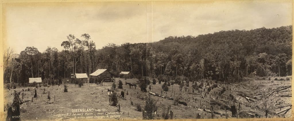 Agriculture, crohamhurst, crops