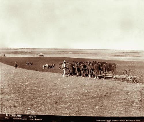 Agriculture, driller, farming