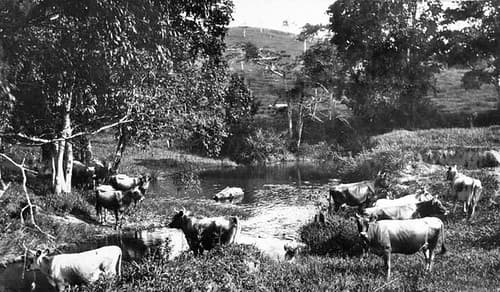 Agriculture, breffney, farm