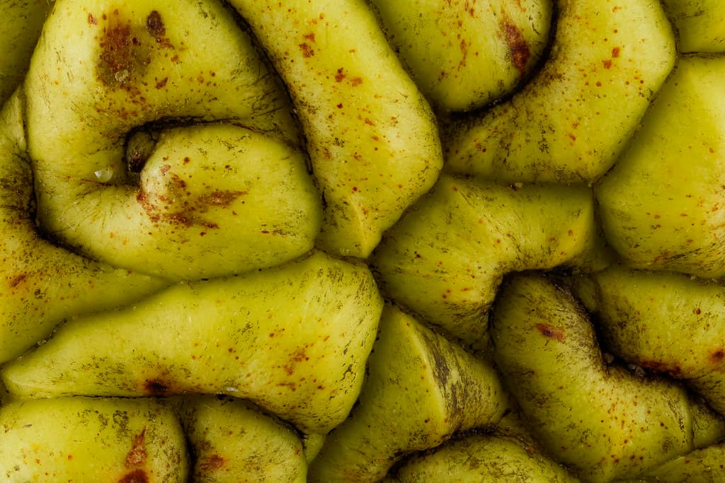 Osage orange (Maclura pomifera) fruit, 2X 2012-12-18-17.10.59 ZS PMax