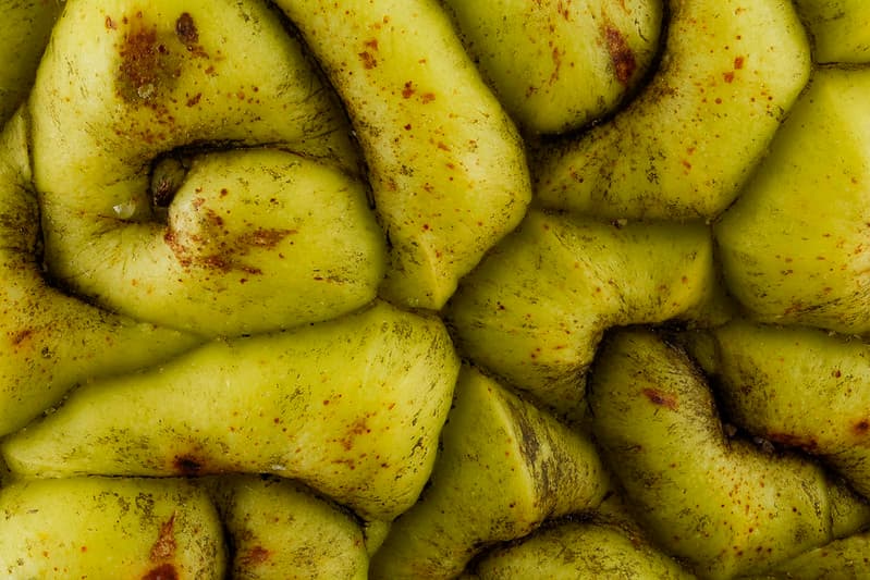 Osage orange (Maclura pomifera) fruit, 2X 2012-12-18-17.10.59 ZS PMax