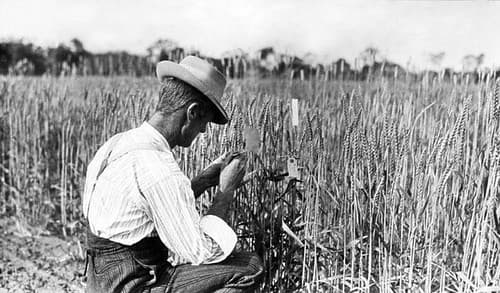 Mr RE Soutter, State Farm, Roma, c 1934