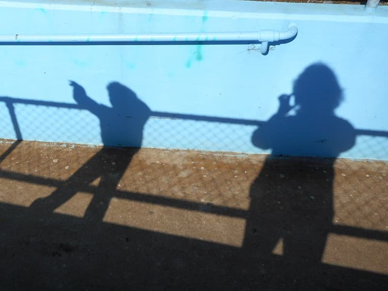 Shadows
