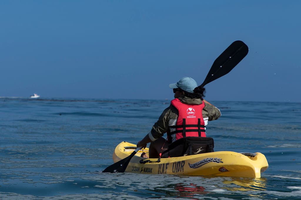 Monterey Bay Ocean Kayaking