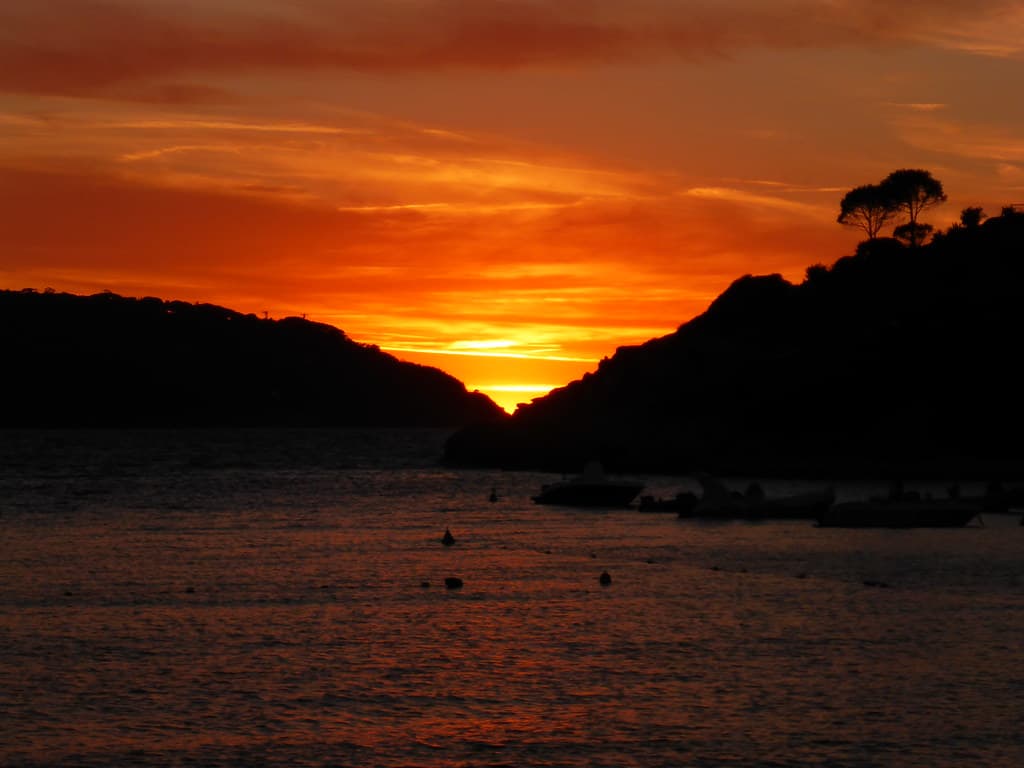 Earth, sea, sun