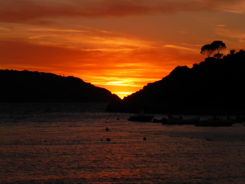 Earth, sea, sun