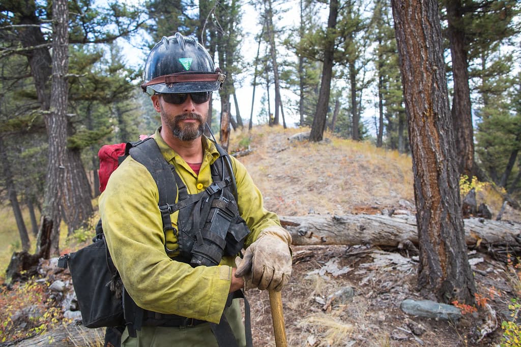 Buffalofire