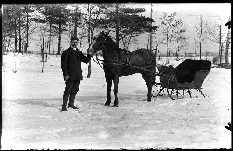 Man with horse and sleigh in winter