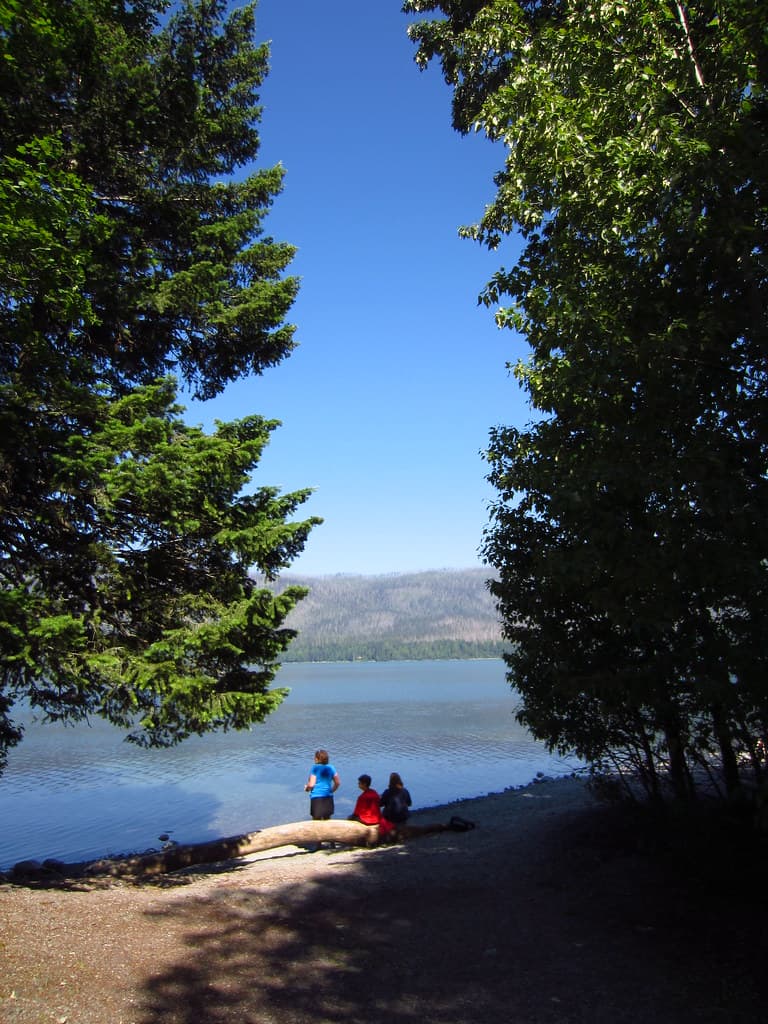 Lake McDonald Lodge Shoreline (across the creek) - 8