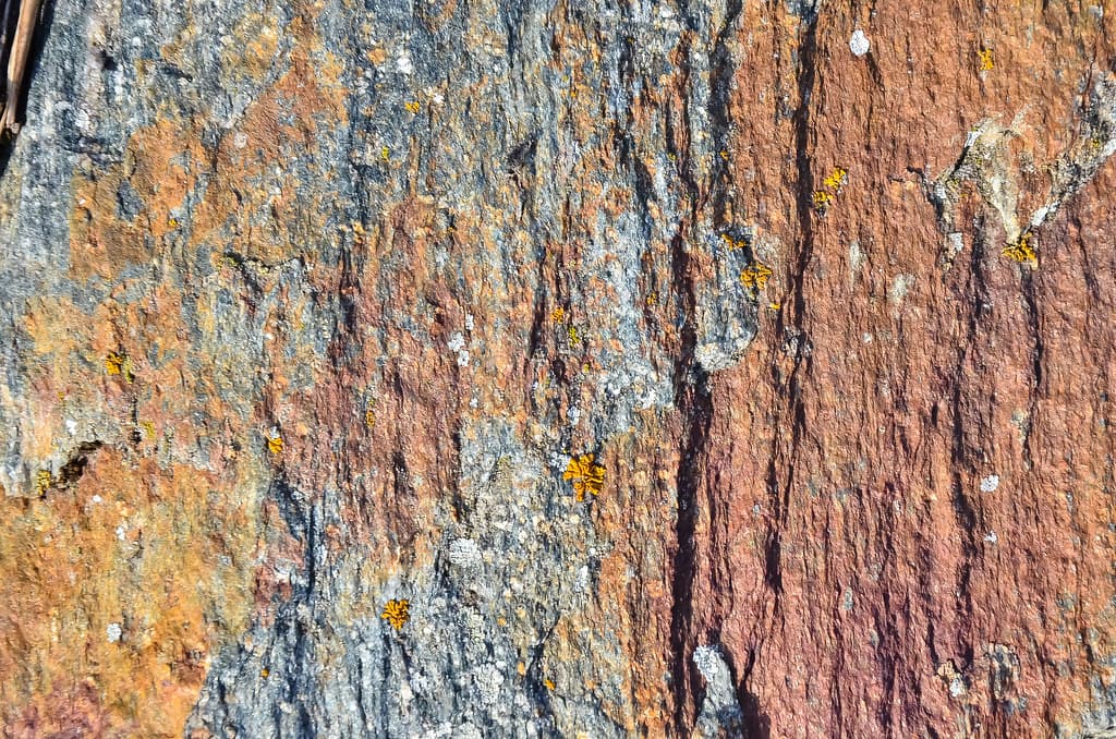 Texture