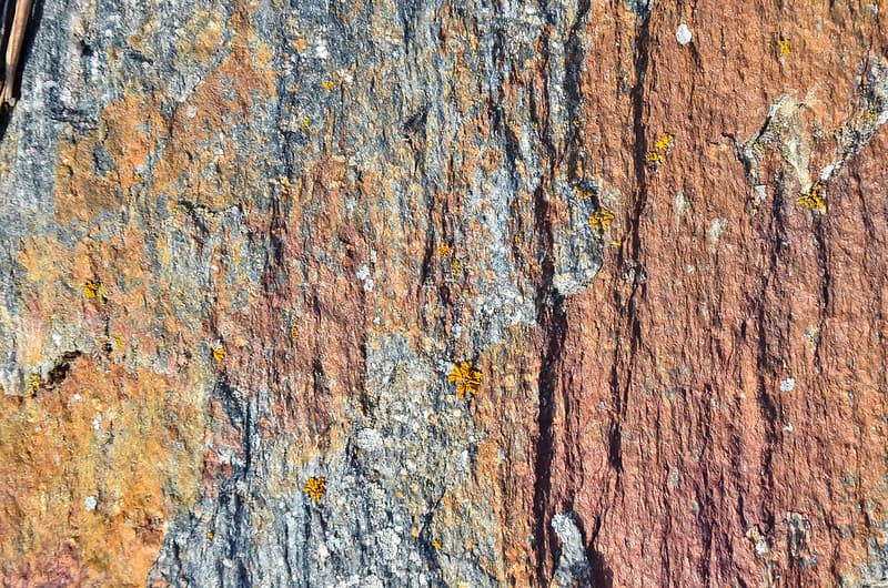 Texture