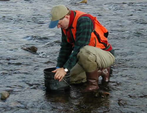 USFWS biologist collecting stream substrate data