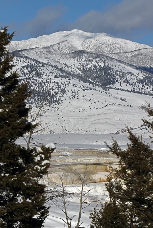 Canary Springs and Sheep Mountain