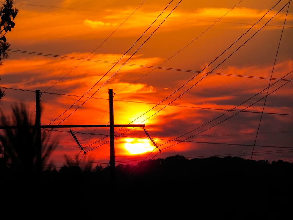 Day 311 - Sunset through the cables.