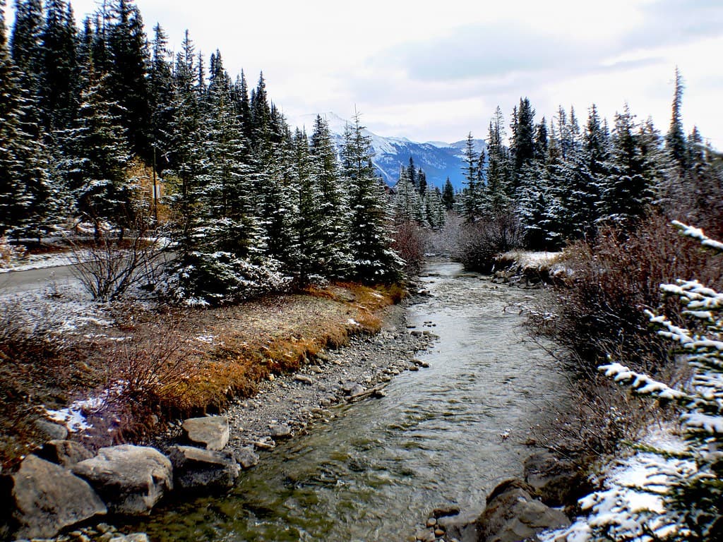 Bow River Alberta.