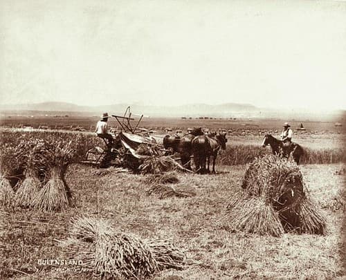 Agriculture, binder, crops