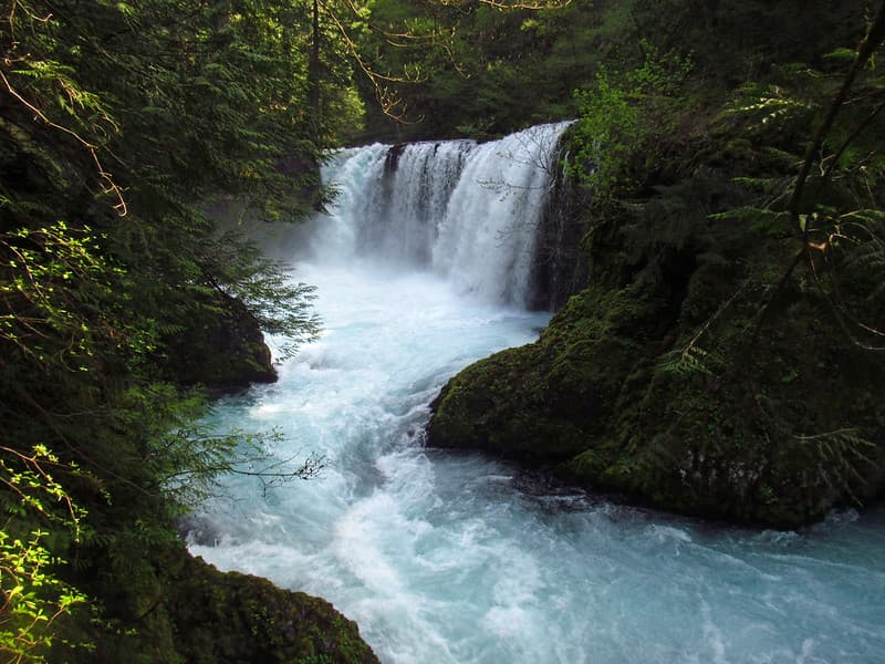 Spirit Falls Trail on Little White Salmon River in WA