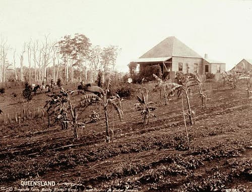 Agriculture, blackallrange, crops